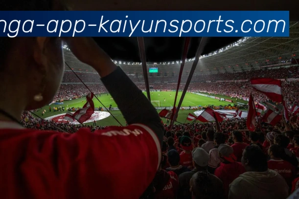 开云体育APP 体育赛事宣传图